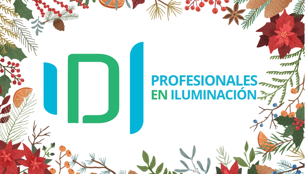 LUCES NAVIDEÑAS